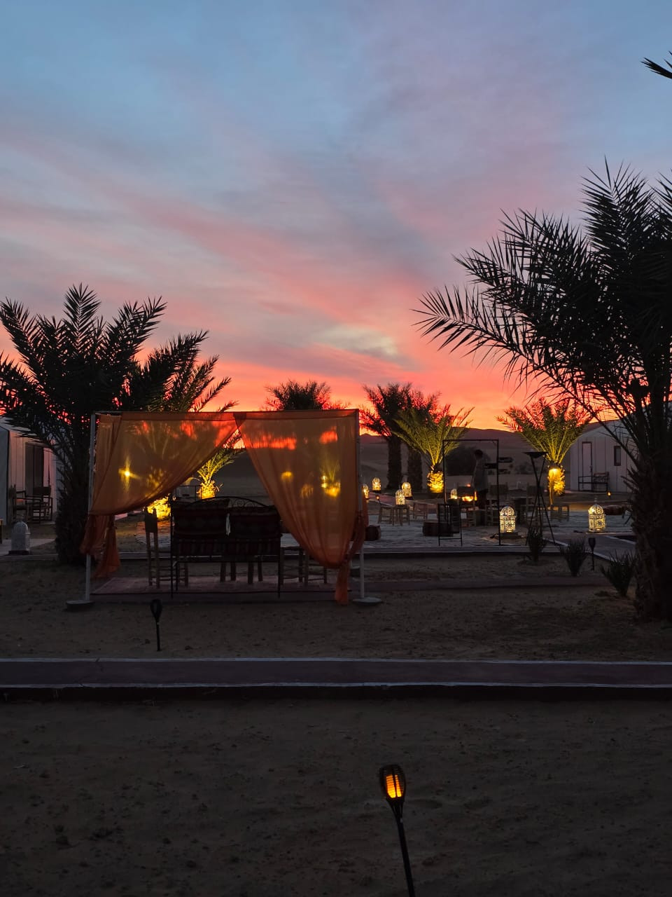 Fiery desert sunset silhouetting palm trees behind a lantern-lit lounge tent at Sahara Night Camp
