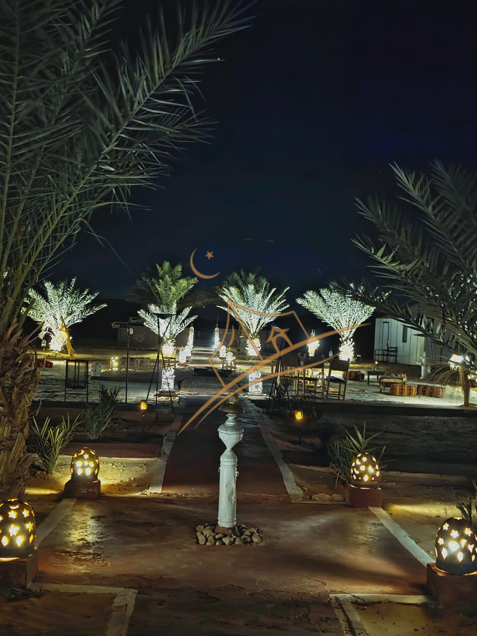 Star-filled desert sky above illuminated palms lining the camp's night walkway