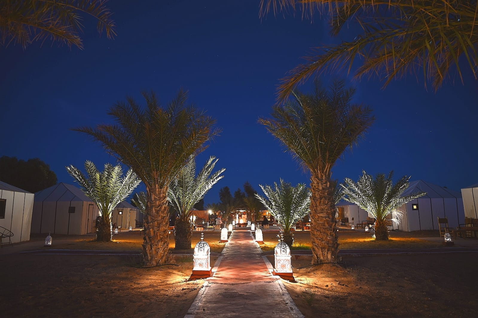 Palm-lined walkway glowing under a deep blue evening sky at Sahara Night Camp, Erg Chebbi