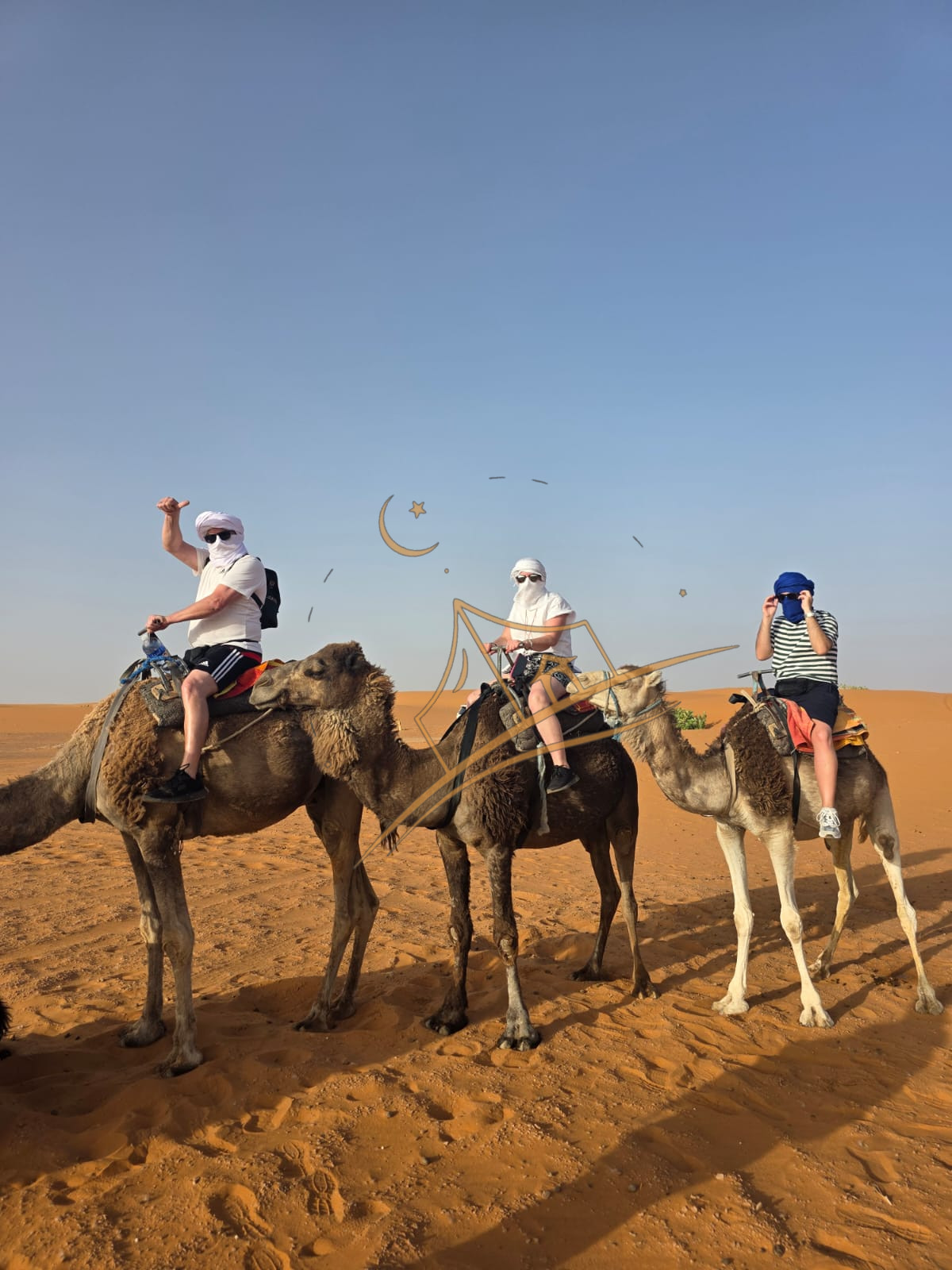 Guests riding camels single-file across the Erg Chebbi dunes near Merzouga