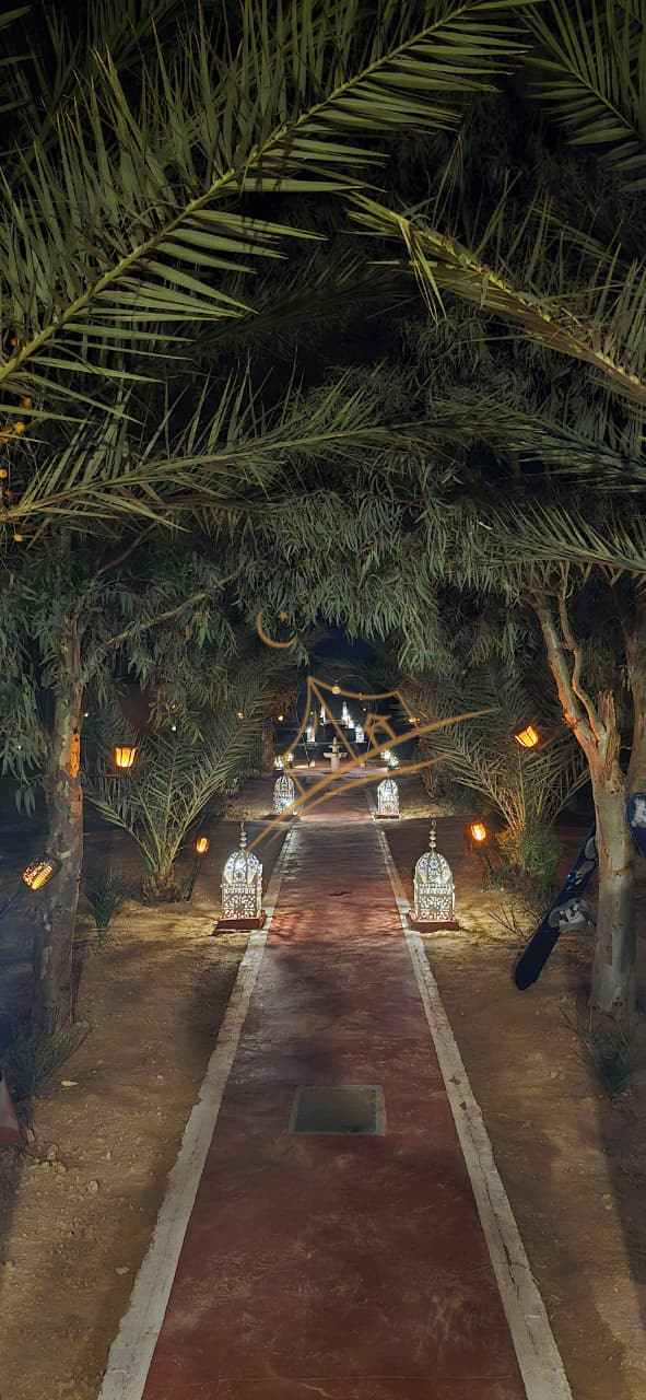 Palm-shaded pathway glowing with lantern light beneath a canopy of fronds at night